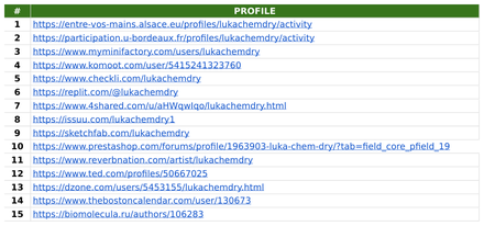 Luka Chem-Dry report excerpt: External-profile activity. Off-page activity report.