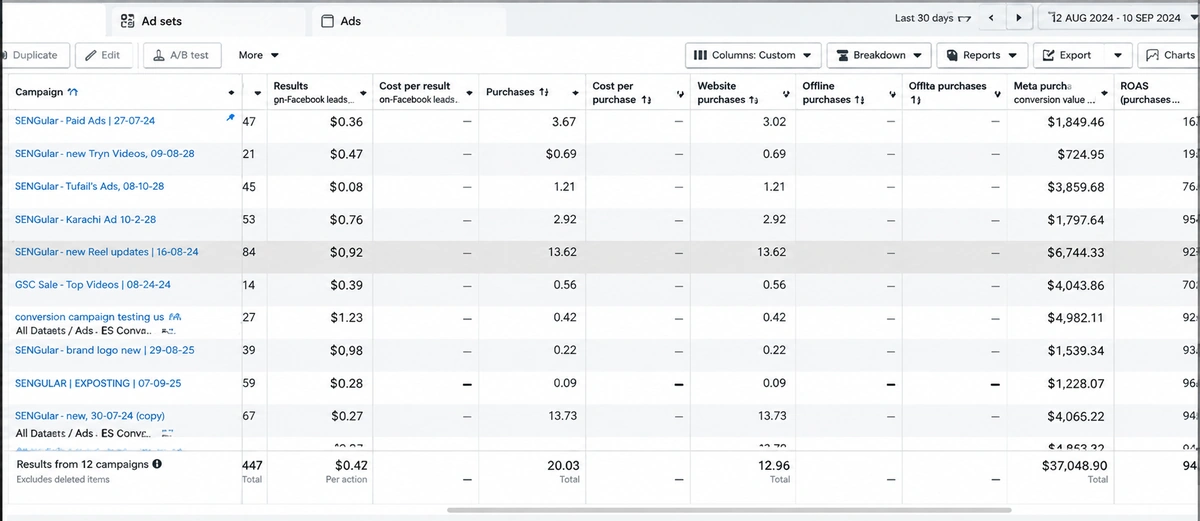 Illustrative Meta Ads campaign table showing lead results, cost per action and purchase conversion value.