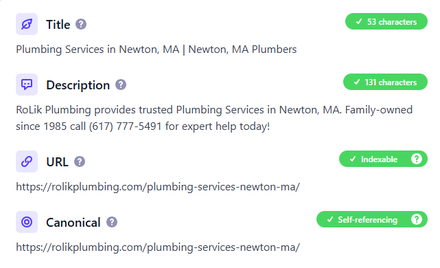 RoLik Plumbing report excerpt: Newton plumbing service-page metadata. On-page SEO.