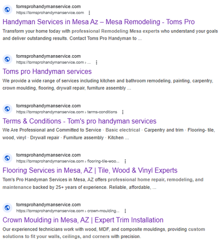 Tom’s Pro Handyman Services report excerpt: Pages appearing in search. Google Search.