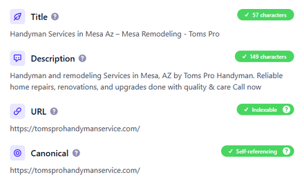 Tom’s Pro Handyman Services report excerpt: Handyman service-page metadata. On-page SEO.