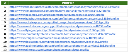 Tom’s Pro Handyman Services report excerpt: External-profile activity. Off-page activity report.