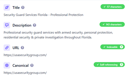 USA Security & Protection Group report excerpt: Titles, descriptions and canonical URL. On-page SEO.
