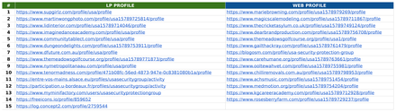 USA Security & Protection Group report excerpt: External-profile activity. Off-page activity report.