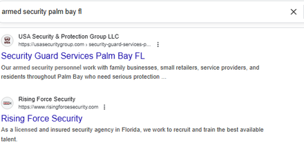 USA Security & Protection Group report excerpt: Security-service search result in Palm Bay. Google Search.