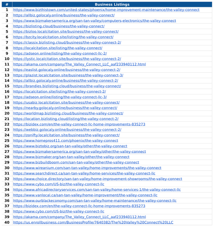 The Valley Connect report excerpt: Business-listing activity. Off-page activity report.